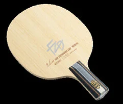 Butterfly Fan Zhendong CNF - CS