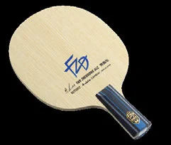 Butterfly Fan Zhendong ZLC - CS